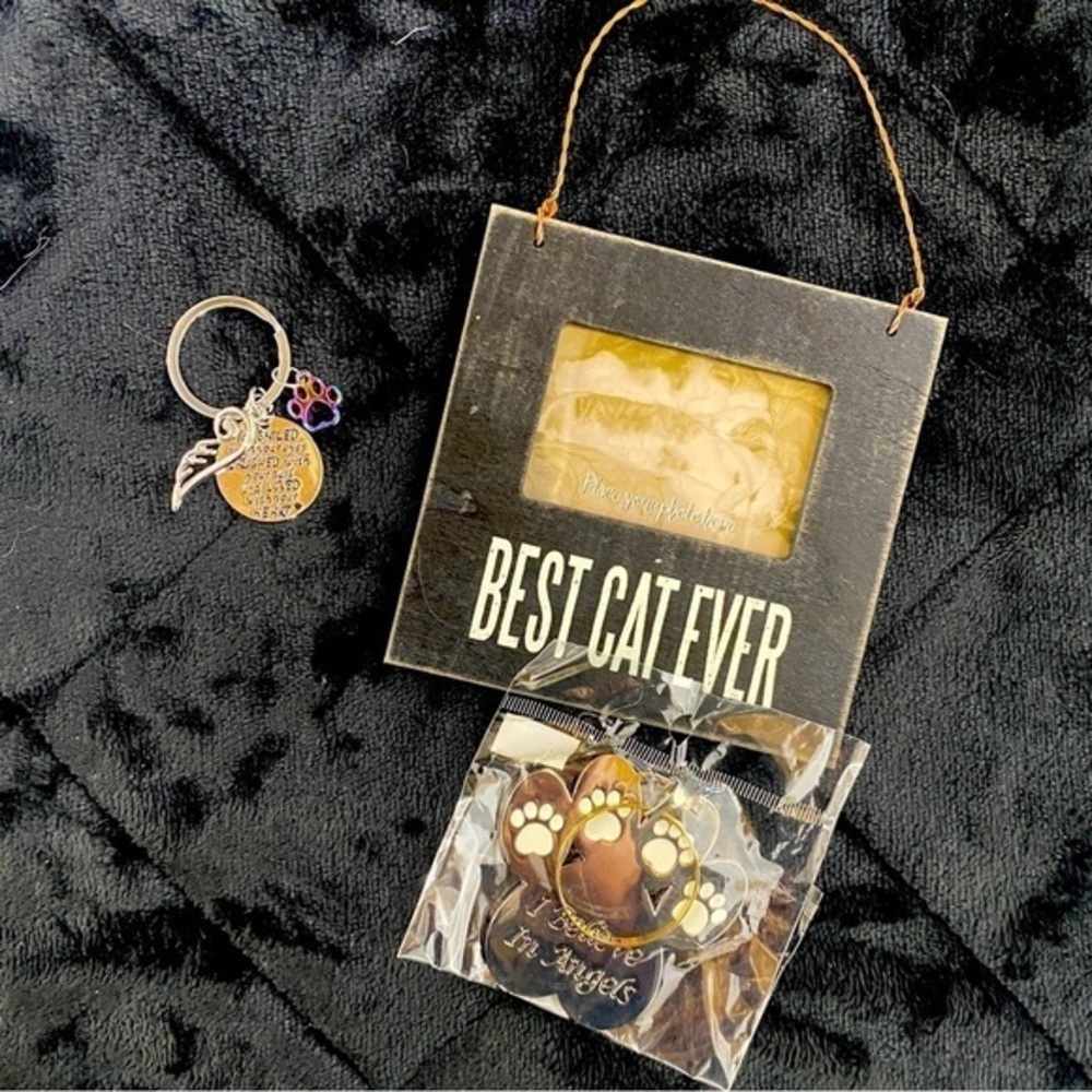 Cat Lover Lot In Keychain Photo Paw Ornament